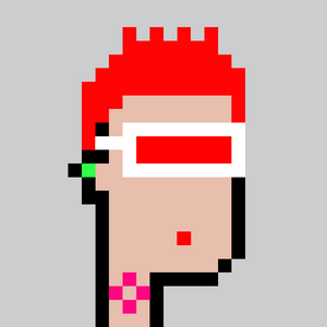 dpunks: 8737