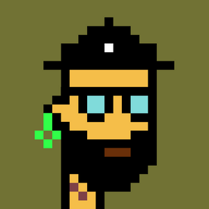 dpunks: 347