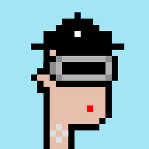 dpunks: 6335