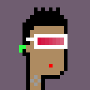 dpunks: 8566