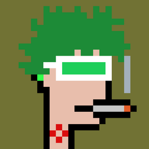 dpunks: 9581