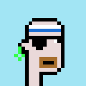 dpunks: 1441