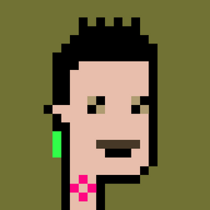 dpunks: 505