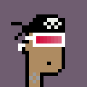 dpunks: 497