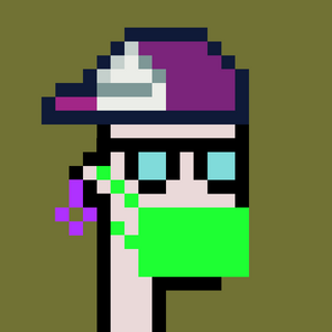 dpunks: 8509