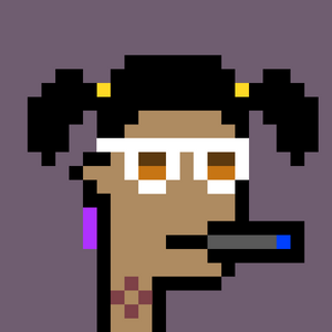dpunks: 9951