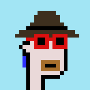 dpunks: 312