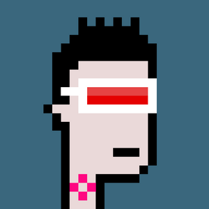 dpunks: 7293