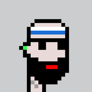 dpunks: 8855
