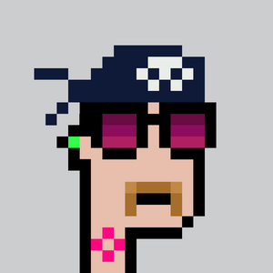 dpunks: 9313