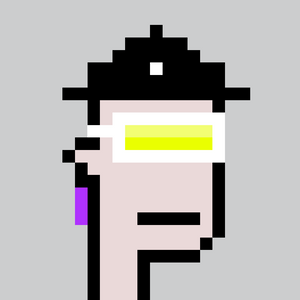 dpunks: 1343