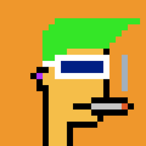 dpunks: 1339