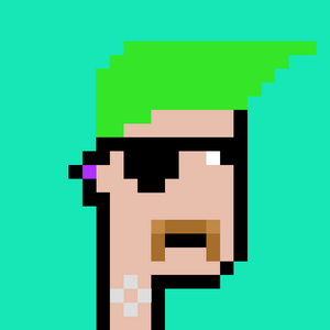 dpunks: 355