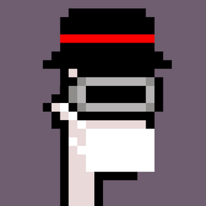 dpunks: 300