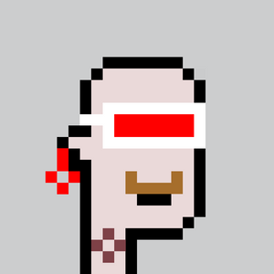 dpunks: 8572