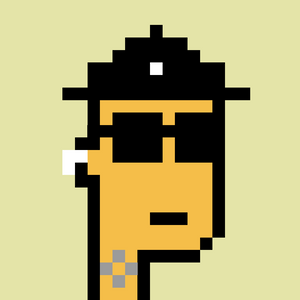dpunks: 9571