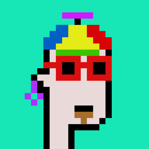 dpunks: 499