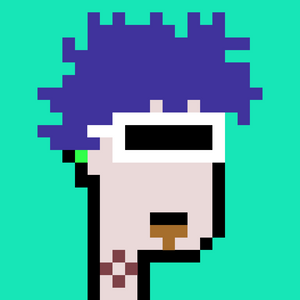 dpunks: 9113