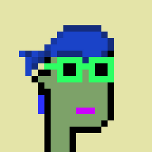 dpunks: 507
