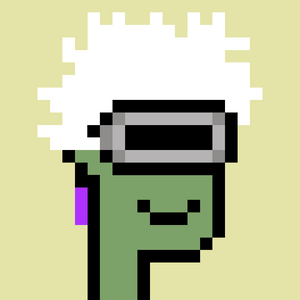 dpunks: 5027
