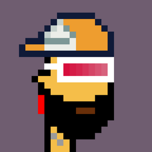 dpunks: 8971