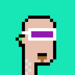 dpunks: 9862