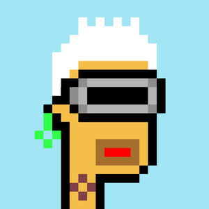dpunks: 9162