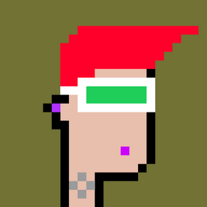 dpunks: 2521