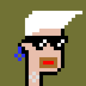 dpunks: 1504