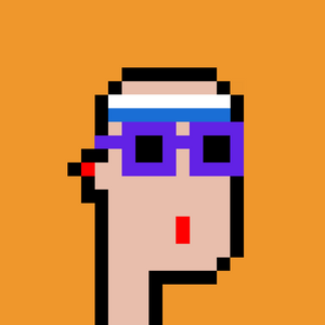dpunks: 333