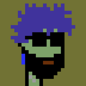 dpunks: 8455