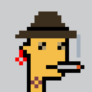 dpunks: 5011