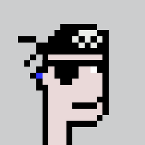 dpunks: 4531