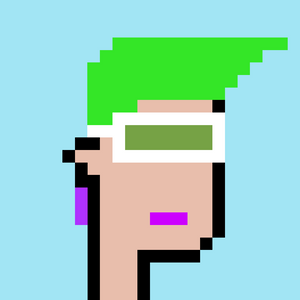 dpunks: 132