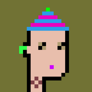 dpunks: 8051