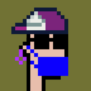 dpunks: 8333