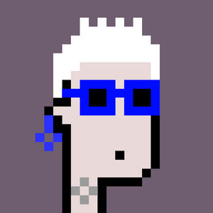 dpunks: 8196