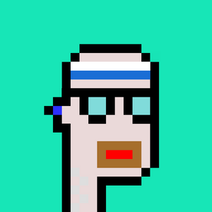 dpunks: 6361