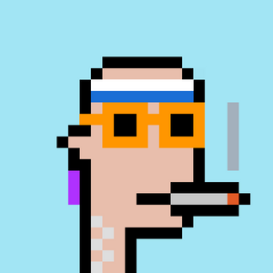 dpunks: 8543