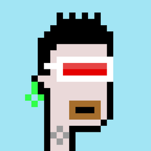 dpunks: 8271