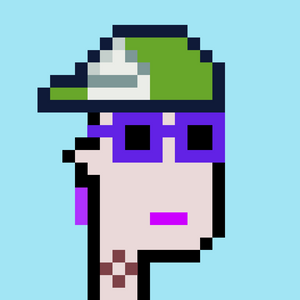 dpunks: 8527