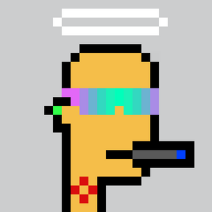 dpunks: 1101