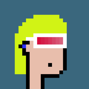dpunks: 9063