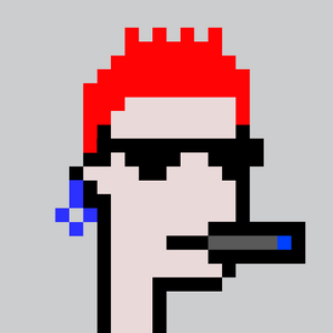 dpunks: 569