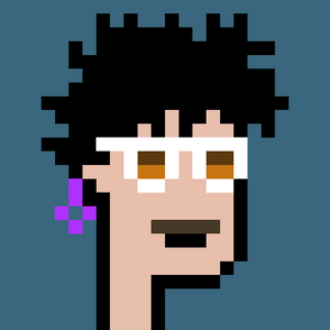 dpunks: 2489