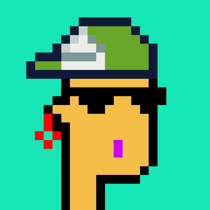 dpunks: 8957