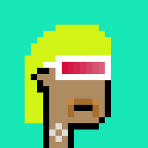 dpunks: 9503
