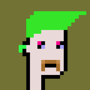 dpunks: 1334