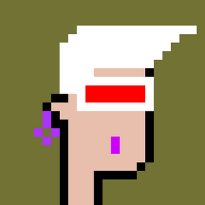 dpunks: 8913