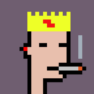 dpunks: 9511